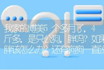 我家的博美5个多月了，4斤多，是只公狗，胖吗?如果胖该怎么办?还有狗狗一直没有虫子正常吗?该怎么办？