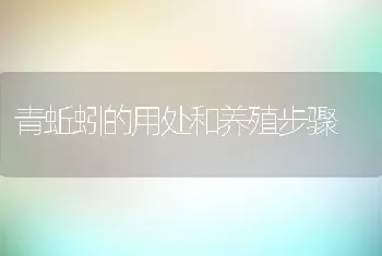 青蚯蚓的用处和养殖步骤