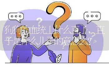 狗狗的血统上什么直子，直子是什么儿子的意思么？