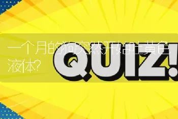 一个月的狗突然开始吐黄色液体？