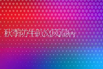 罗非鱼疑似链球菌病重创广东珠海