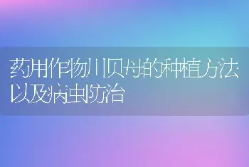 药用作物川贝母的种植方法以及病虫防治