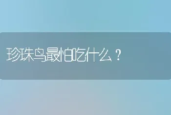 84消毒液漂白狗狗泪痕可以吗？