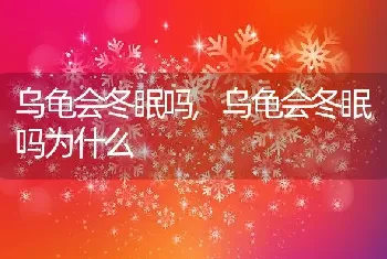 乌龟会冬眠吗，乌龟会冬眠吗为什么