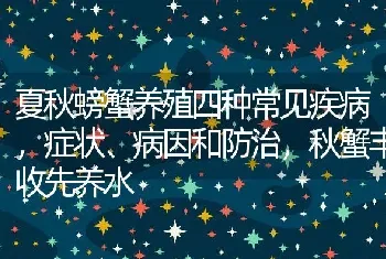 夏秋螃蟹养殖四种常见疾病，症状、病因和防治，秋蟹丰收先养水