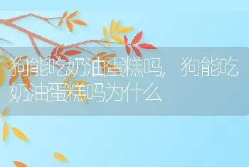 狗能吃奶油蛋糕吗，狗能吃奶油蛋糕吗为什么