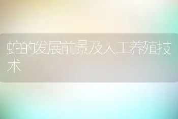 蛇的发展前景及人工养殖技术