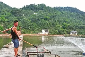 夏季鱼塘管理及鱼病防治措施