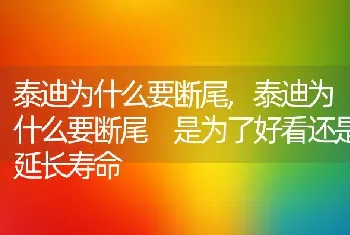 泰迪为什么要断尾，泰迪为什么要断尾 是为了好看还是延长寿命