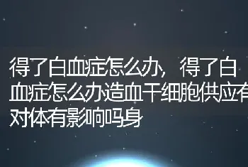 得了白血症怎么办，得了白血症怎么办造血干细胞供应有对体有影响吗身