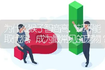 为什么猴子智商高，却不能取代狗，成为最常见的宠物？