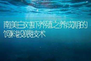 南美白对虾养殖之养成期的饲料投喂技术