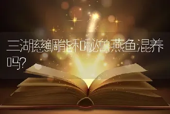 三湖慈鲷能和秘鲁燕鱼混养吗？