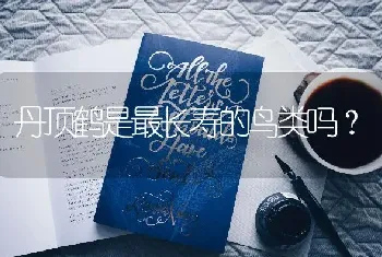 丹顶鹤是最长寿的鸟类吗？