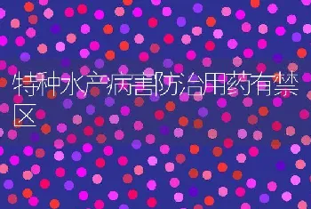 珠江所大口黑鲈优鲈1号获审定适合南方淡水养殖