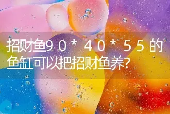 招财鱼90*40*55的鱼缸可以把招财鱼养？