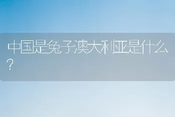 中国是兔子澳大利亚是什么？