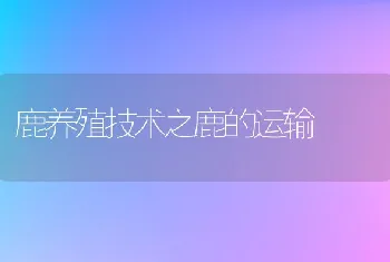 鹿养殖技术之鹿的运输