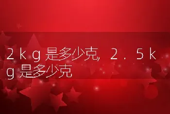 2kg是多少克，2.5kg是多少克