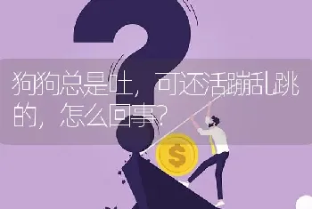 狗狗总是吐，可还活蹦乱跳的，怎么回事？