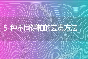 5种不同饼粕的去毒方法