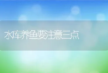 水库养鱼要注意三点