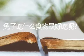 英.美.法三国议会制度的共同点和不同点是什么？