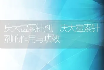 庆大霉素针剂，庆大霉素针剂的作用与功效