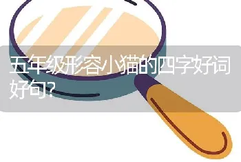 五年级形容小猫的四字好词好句？