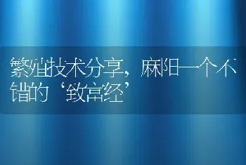 繁殖技术分享，麻阳一个不错的‘致富经’