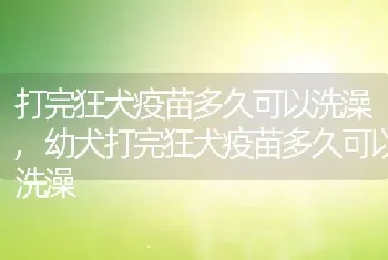 打完狂犬疫苗多久可以洗澡，幼犬打完狂犬疫苗多久可以洗澡