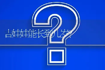 吉娃娃能长到几岁？