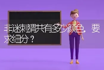 金毛什么颜色的好？