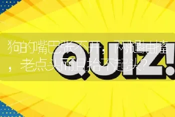 狗的嘴巴张不开，两腿抽搐，老点头而且抬不起头？