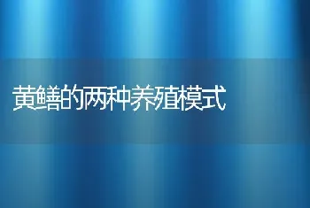 黄鳝的两种养殖模式