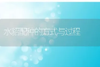 梅花鹿的难产诊断和人工助产技术