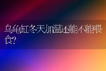 猫取名字带好运的意思？