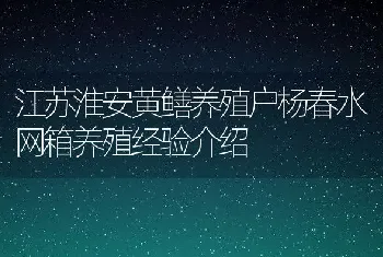 江苏淮安黄鳝养殖户杨春水网箱养殖经验介绍