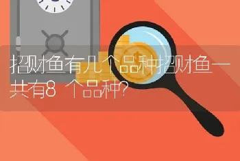 招财鱼有几个品种招财鱼一共有8个品种？