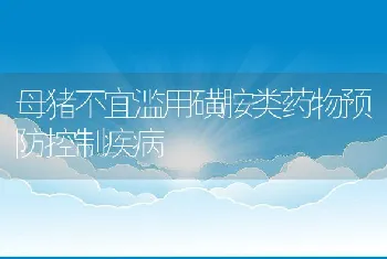 母猪不宜滥用磺胺类药物预防控制疾病