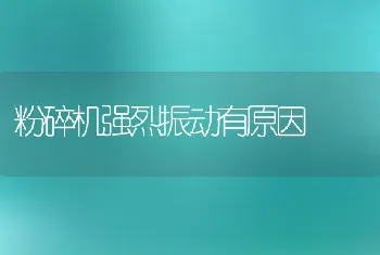 秋季饲养蛋鸡五要领