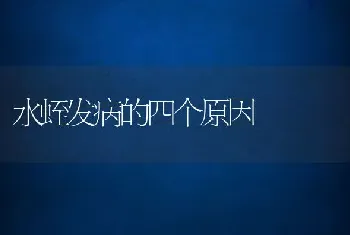 水蛭发病的四个原因