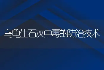 乌龟生石灰中毒的防治技术