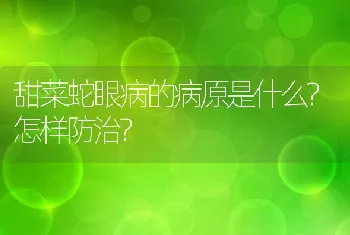 甜菜蛇眼病的病原是什么?怎样防治?