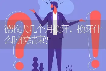 德牧犬几个月换牙，换牙什么时候结束？