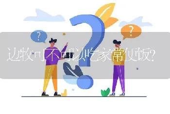 边牧可不可以吃家常便饭？