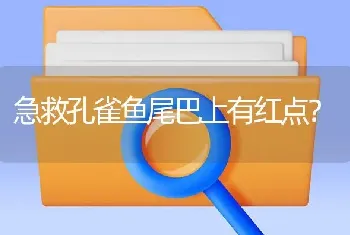 急救孔雀鱼尾巴上有红点？