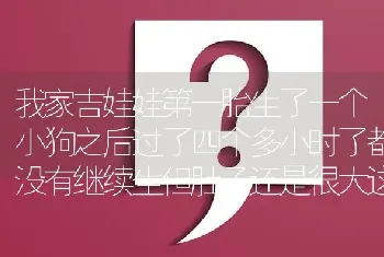 我家吉娃娃第一胎生了一个小狗之后过了四个多小时了都没有继续生但肚子还是很大这是怎么了？