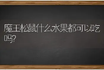 魔王松鼠什么水果都可以吃吗？