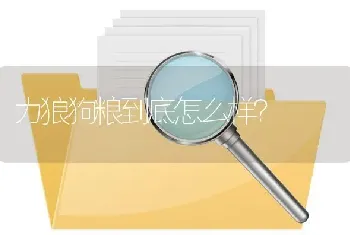 力狼狗粮到底怎么样？